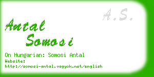 antal somosi business card